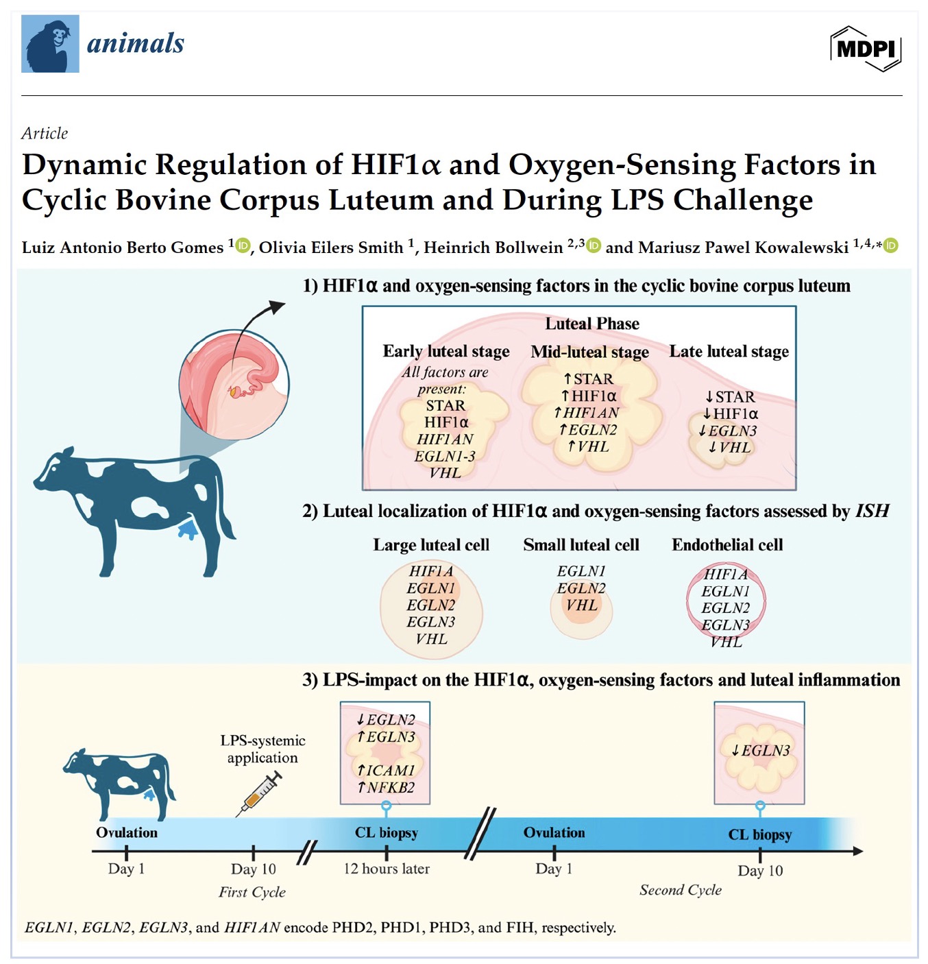 New Paper 2025 Gomes et al., 2025